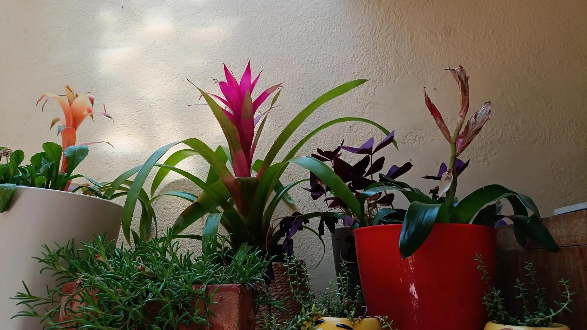 Appartement Studio Antonio Split